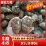 山东8520豆芋头大量上市，产地直供，品质保障，量大优惠