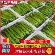 【产地】辣椒，尖椒，辽宁海城尖椒质保量，原产地欢迎咨询