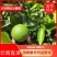云南精品冰糖橙,24年新果现摘发货,保质保量量大可优惠