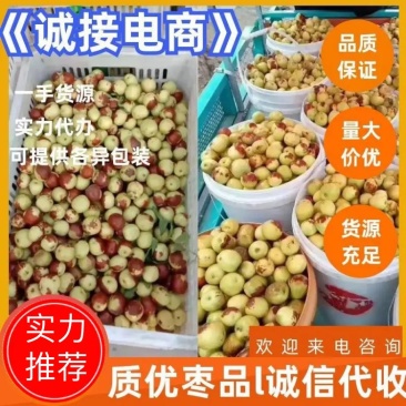 山东冬枣鲜红枣口感脆甜诚信经营良心代办供应平台市场