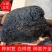 桦树茸,白桦茸,桦褐孔菌,品类齐全,诚信为本