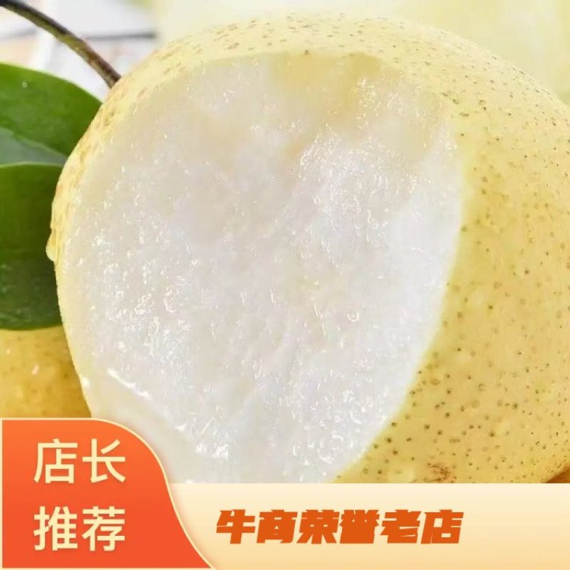 山西酥梨，大量现货供应，产地直发，一手货源，诚信合作。