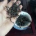 云南普洱茶2024年，易武正山百年古树晒红茶