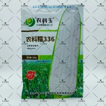 农科糯336玉米种子正品甜糯玉米糯玉米东北玉米种子