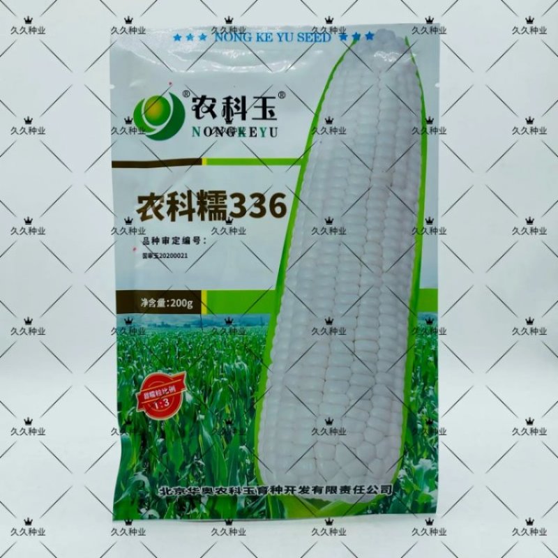 农科糯336玉米种子正品甜糯玉米糯玉米东北玉米种子