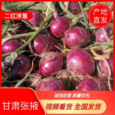 甘肃张掖秦红宝6号洋葱二红洋葱，一手货，保质保量量大便宜