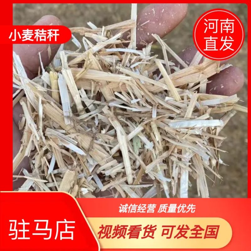 【推荐】河南精品饲料原料风选压块小麦秸秆产地直发