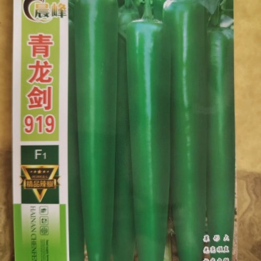 青龙剑919中早熟青皮羊角椒青果深绿色商品性好厂家发货