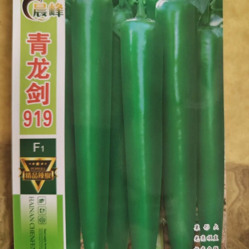 青龙剑919中早熟青皮羊角椒青果深绿色商品性好厂家发货