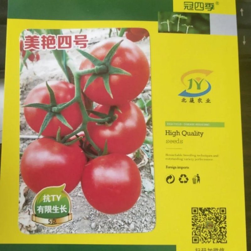 自封顶番茄种子有限生长西红柿种籽大果抗Ty高硬度美艳四号