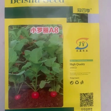 樱桃萝卜种子小萝丽A8好吃精品樱桃萝卜30天左右上市