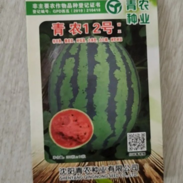 青农12号甜王早熟糖度15，大红瓤小黑籽小薄皮