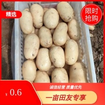 山东肥城冷库存储新土豆2-5两手选精品货