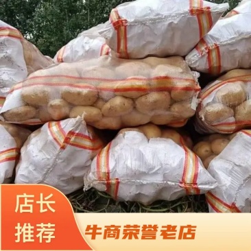 冷库土豆袋子货四两通天产地直销，质量有保证