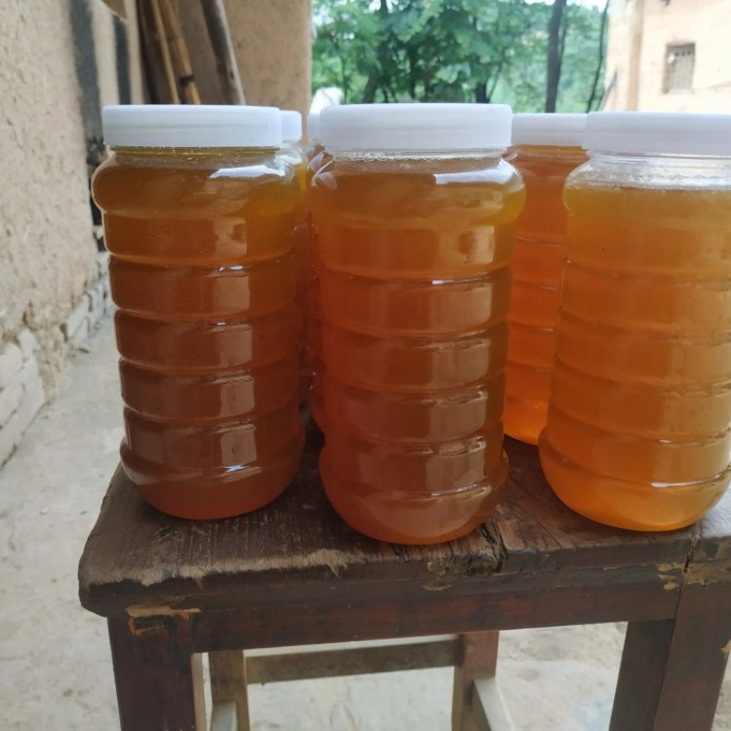 农家土蜂蜜（中华蜜），自产自销