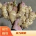 山东产地红芽大黄姜新姜块头大质量好质量有保障