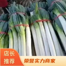 山东铁杆大葱，产地直发一手货源常年供货，电商市场商超。