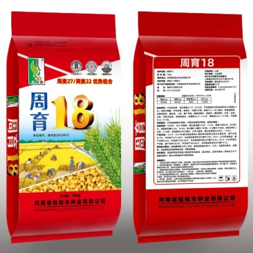 小麦种子，只限河南区域种植，批发，代理！