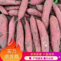 福建漳浦蜜薯，六鳌红蜜薯，诚信以各大商超合作。欢迎来电