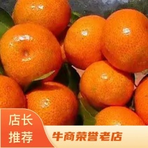 大量代收代发广西砂糖橘电商果，社区，美团等各大平台和市场