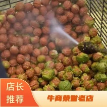 新货上市价格优惠量大从优可视频看货核桃