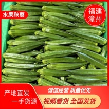 福建秋葵基地直发，一手货源质量保证，视频看货量大可优惠