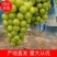 阳光玫瑰葡萄河南阳光玫瑰葡萄大量供应产地直发欢迎咨询