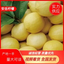 安岳柠檬新果，产地果园直供，一手货源诚信经营量大从优
