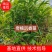罗门黑棋