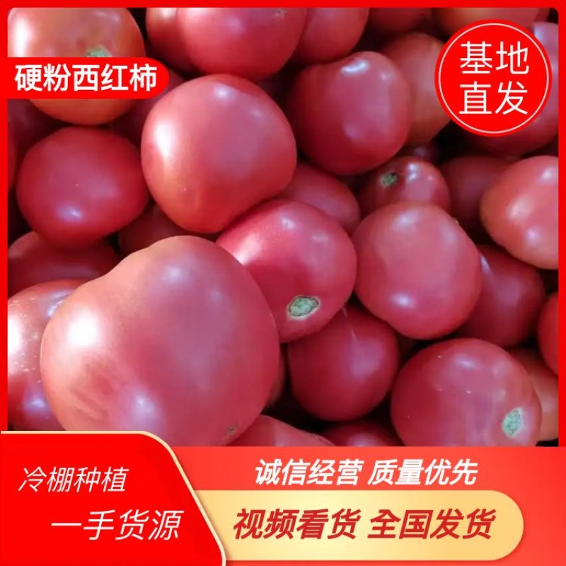 湖北西红柿，产地货源，品质保证，口感清爽利口，欢迎致电咨