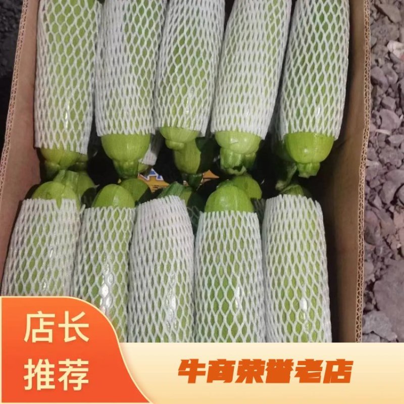 精品角瓜西葫芦条长条绿大量有货要货你就来