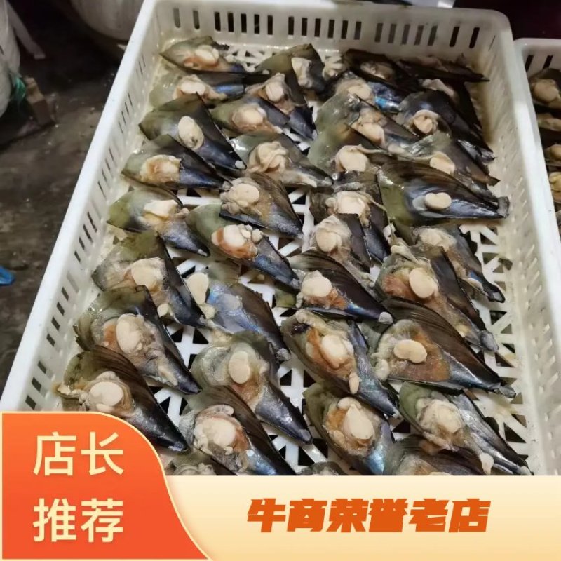 【优选】半壳江瑶贝冷链发货货发全国欢迎联系