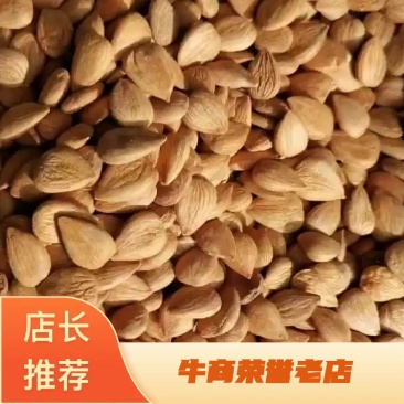 牛推荐新疆杏仁价格优惠可视频看货