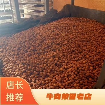 正宗新疆杏干量大供应产地直发可视频看货