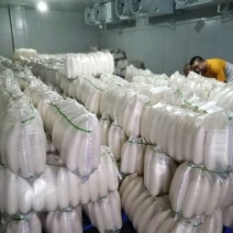 白萝卜，规格都有，量大从优可实地看货