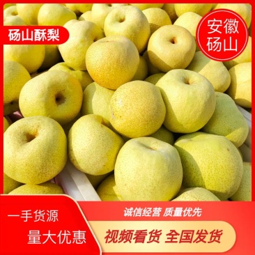 安徽砀山酥梨火热销售中，需要的老板们抓紧联系，一手货源