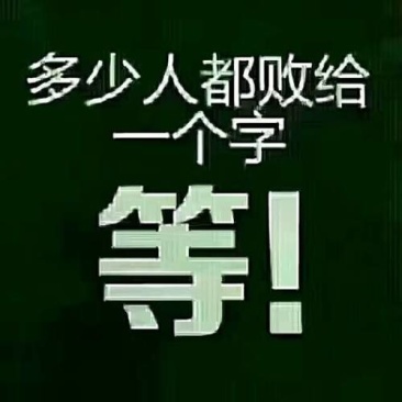 原产地一手货源超低价格薄皮椒量大优惠规格齐全