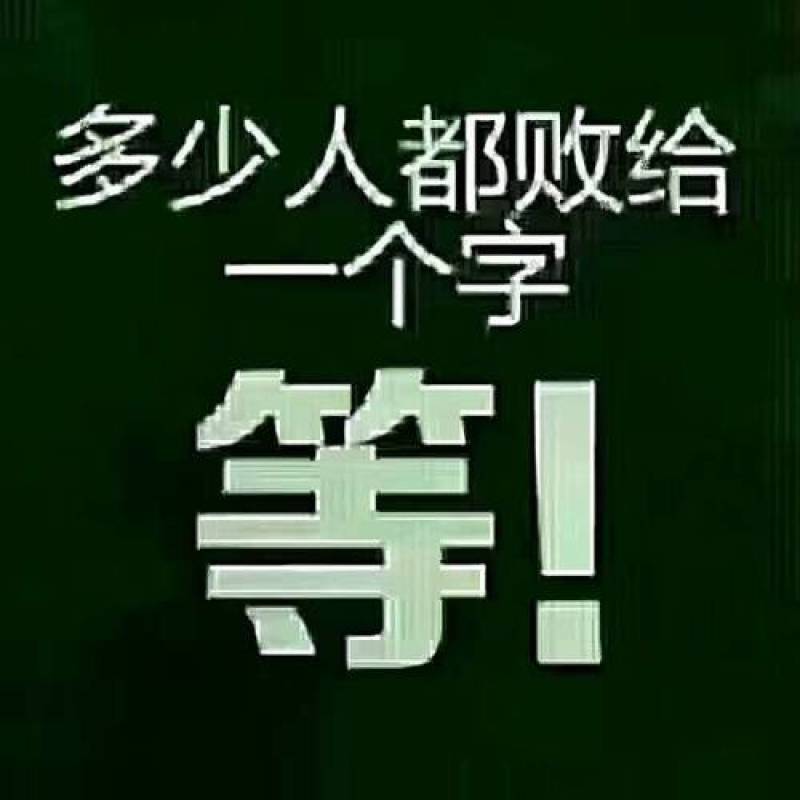 原产地一手货源超低价格薄皮椒量大优惠规格齐全