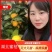 **日期黄岩蜜橘全网低价产地货源，货量充足，随时可聊！