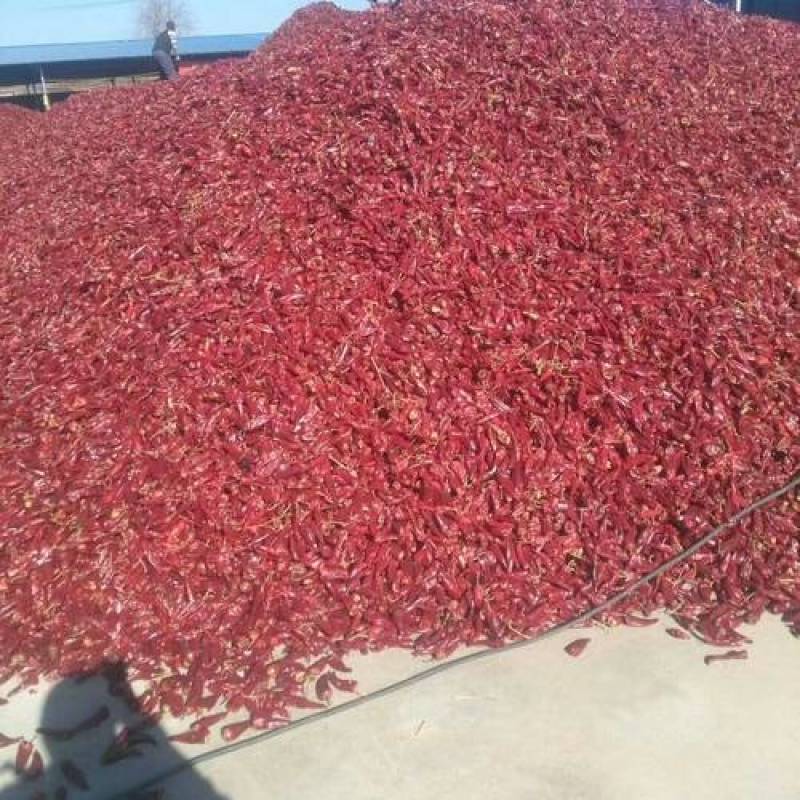 正品保障全年供货，一手货源，量大从优支持拿样北京红辣椒