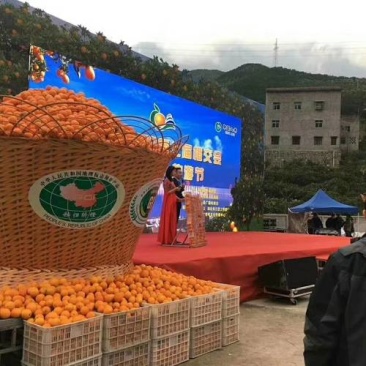 精品原产地秭归脐橙长期有货