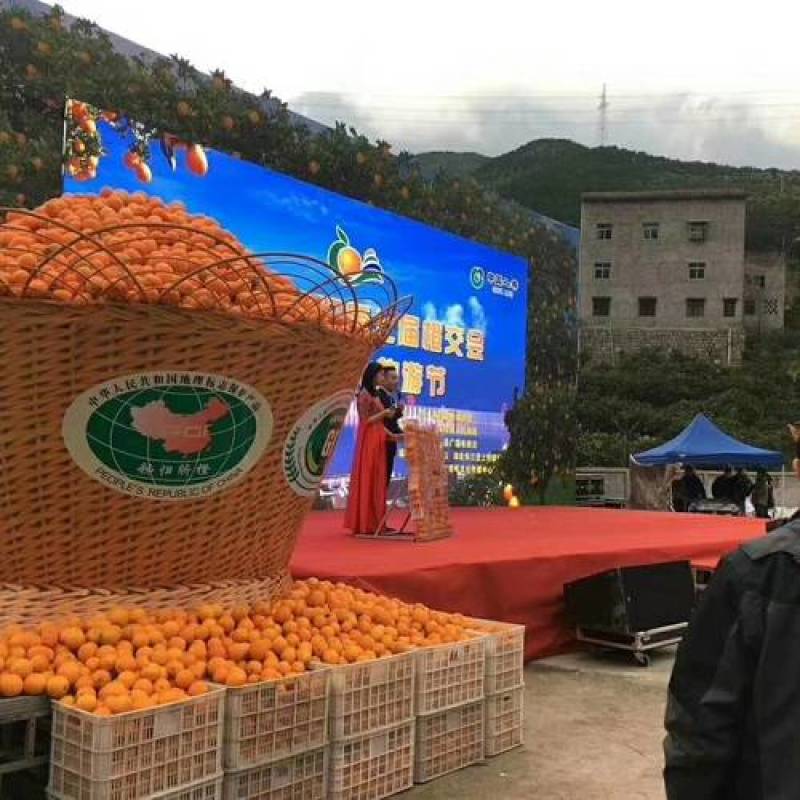 精品原产地秭归脐橙长期有货
