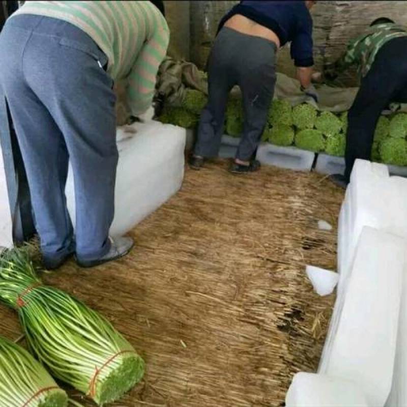 绝对一手保质保量新鲜应季水果产地价格随时有货红帽蒜苔红帽蒜薹