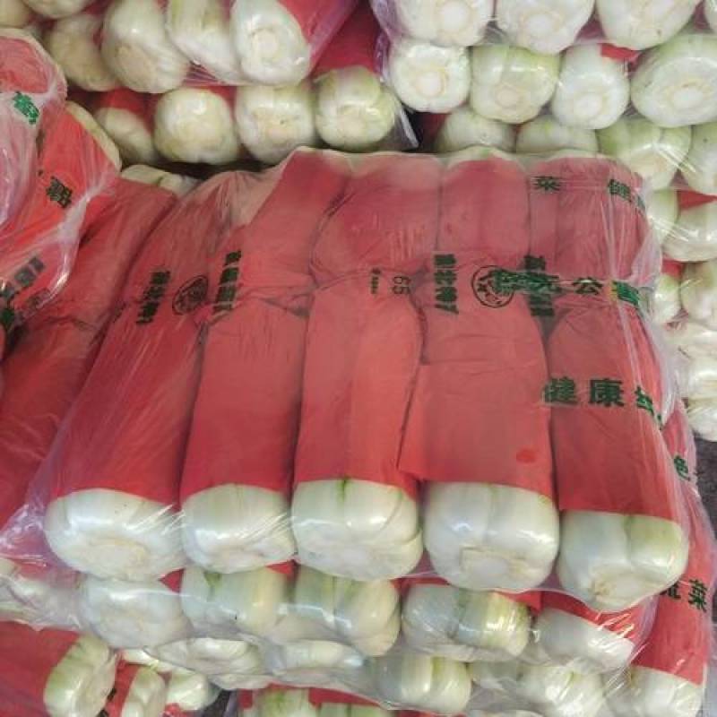 北京新三号白菜现货秒发欢迎电话咨询全网低价
