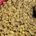 一手货源无添加质量嘎嘎好荷兰十五土豆正品一手货源