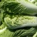 北京新三号白菜一手货源保质保量家中孩子常备水果