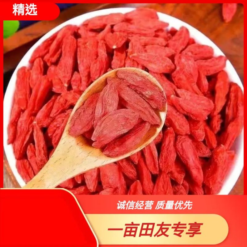 【精选】宁夏红枸杞颗粒均匀干度好手工筛选