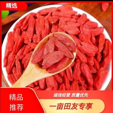【精选】宁夏红枸杞颗粒均匀干度好手工筛选