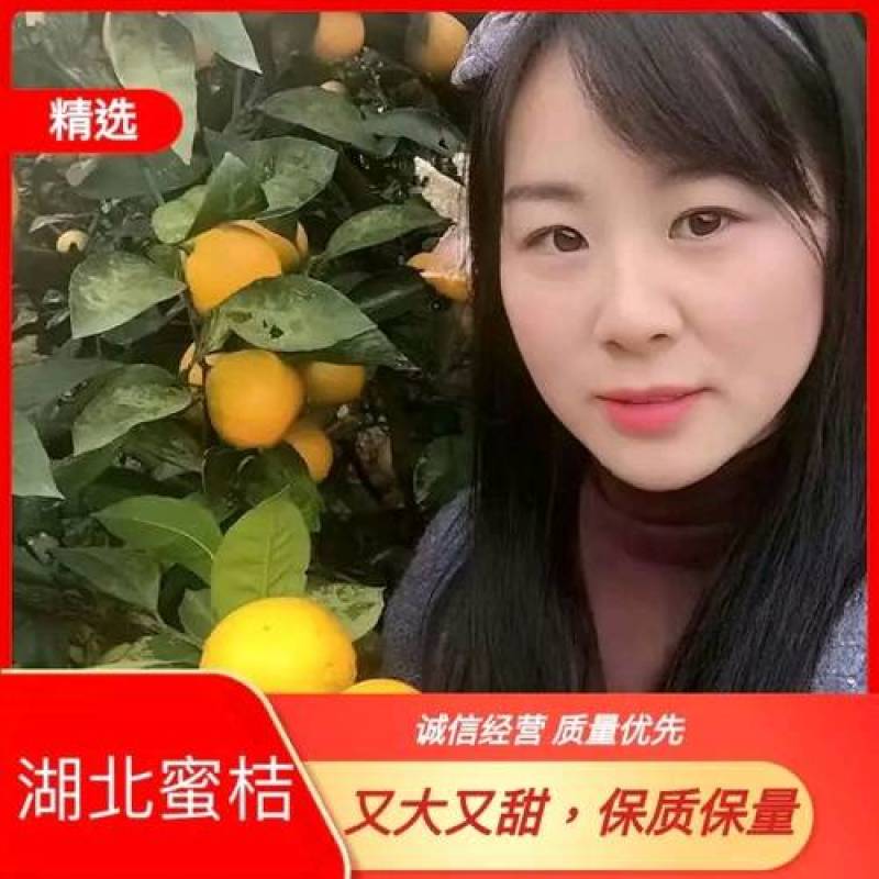 武当蜜橘原产地诚信经营可长期合作老人常备蔬菜
