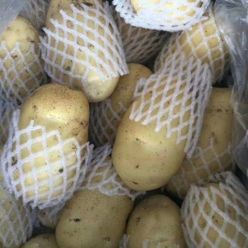 营养多汁货源充足随时有货，欢迎咨询荷兰十五土豆欢迎联系